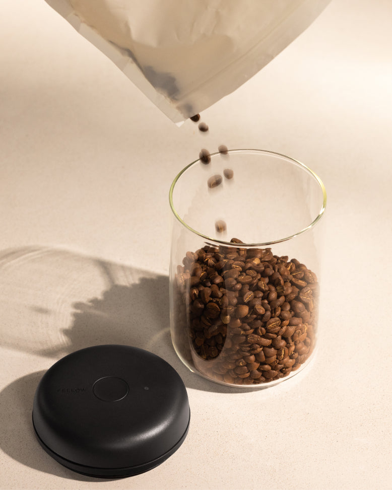 fellow-the-grind-it-kit-kit-macinatura-e-conservazione-caff image 7